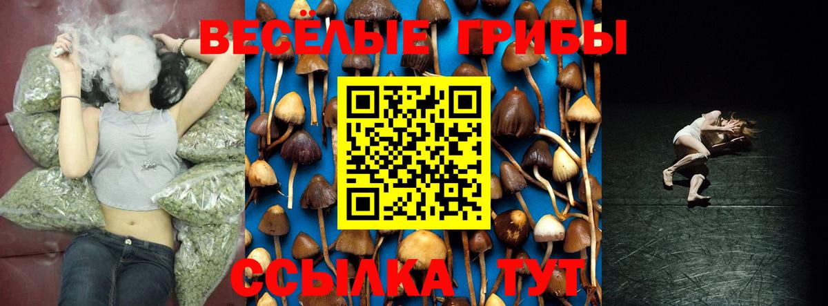 Псилоцибиновые грибы мухоморы Кингисепп