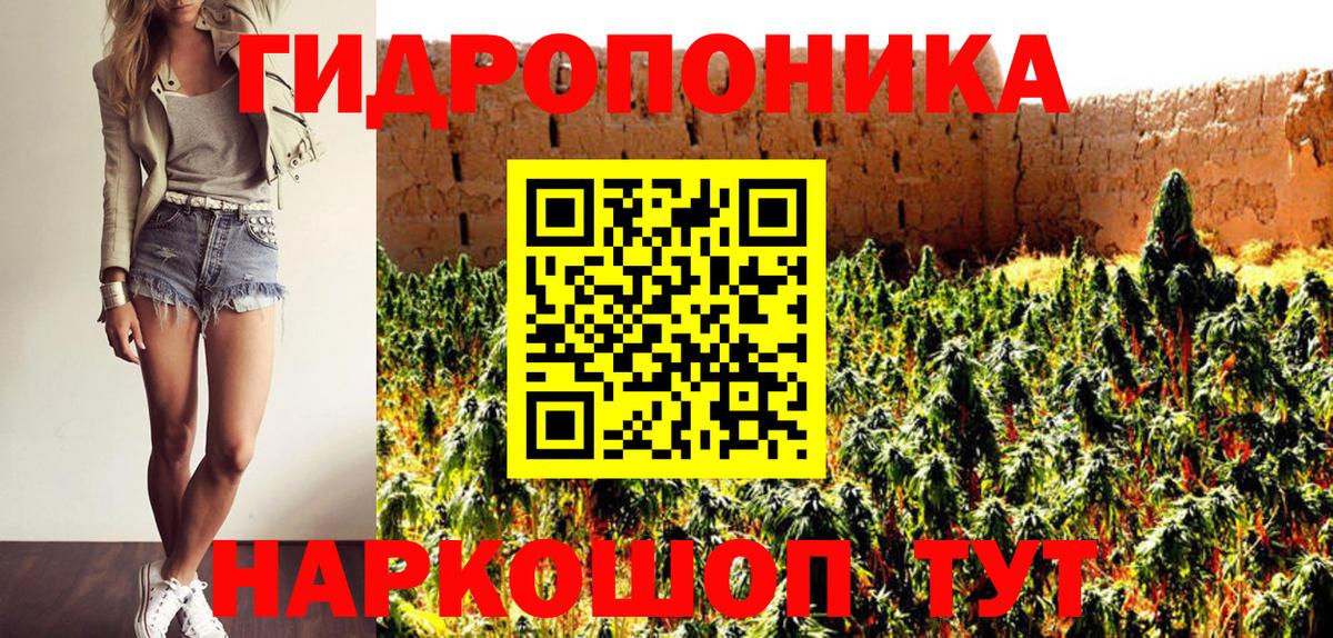 Кингисепп  Бошки марихуана MAZAR  МАРИХУАНА сатива  Вход с VPN  Канабис Bruce Banner  Бошки Шишки тримм 