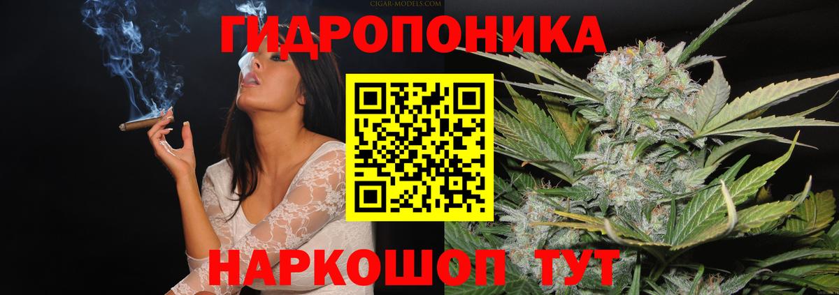 Шишки марихуана SATIVA & INDICA Кингисепп